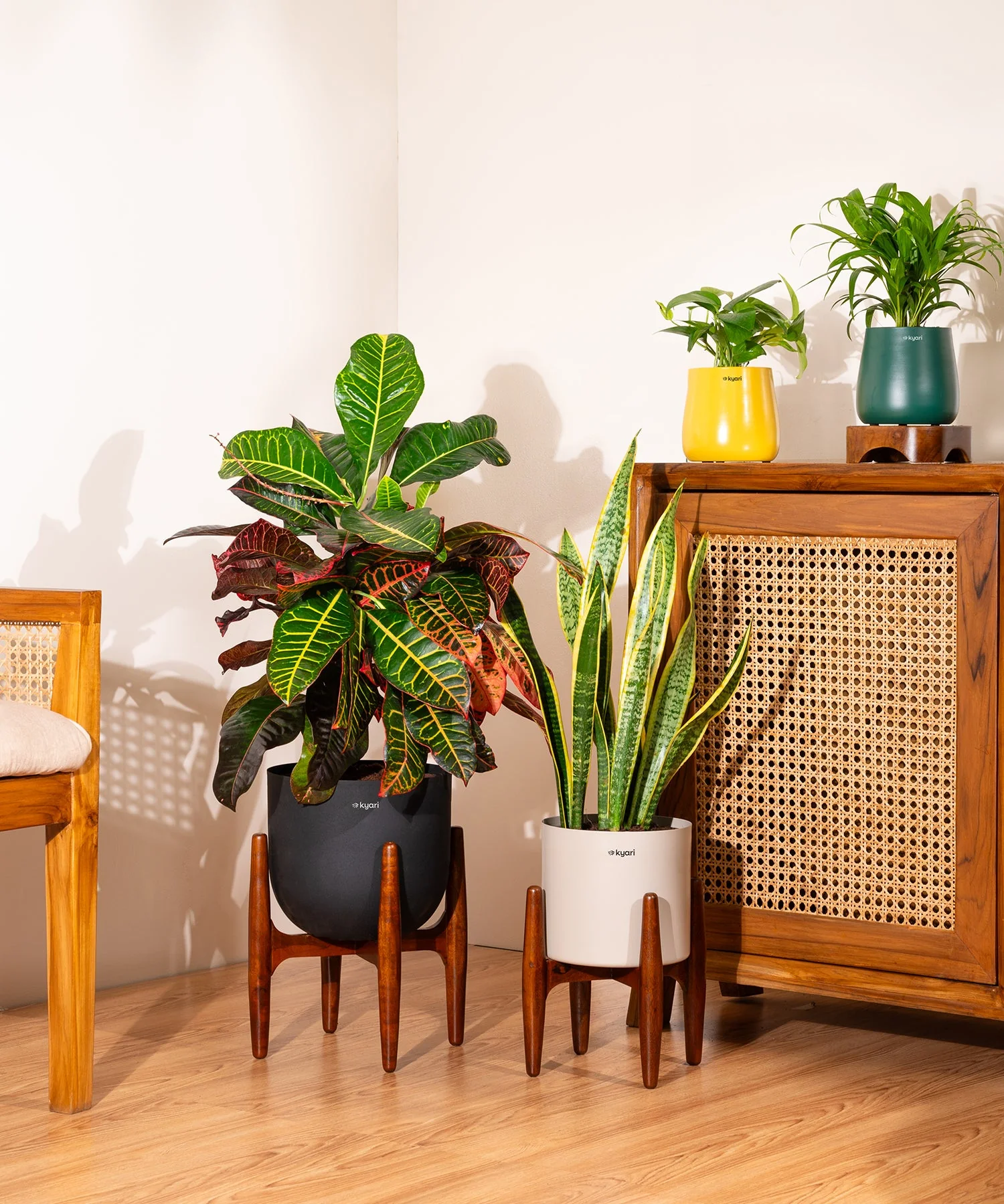 Product image 48