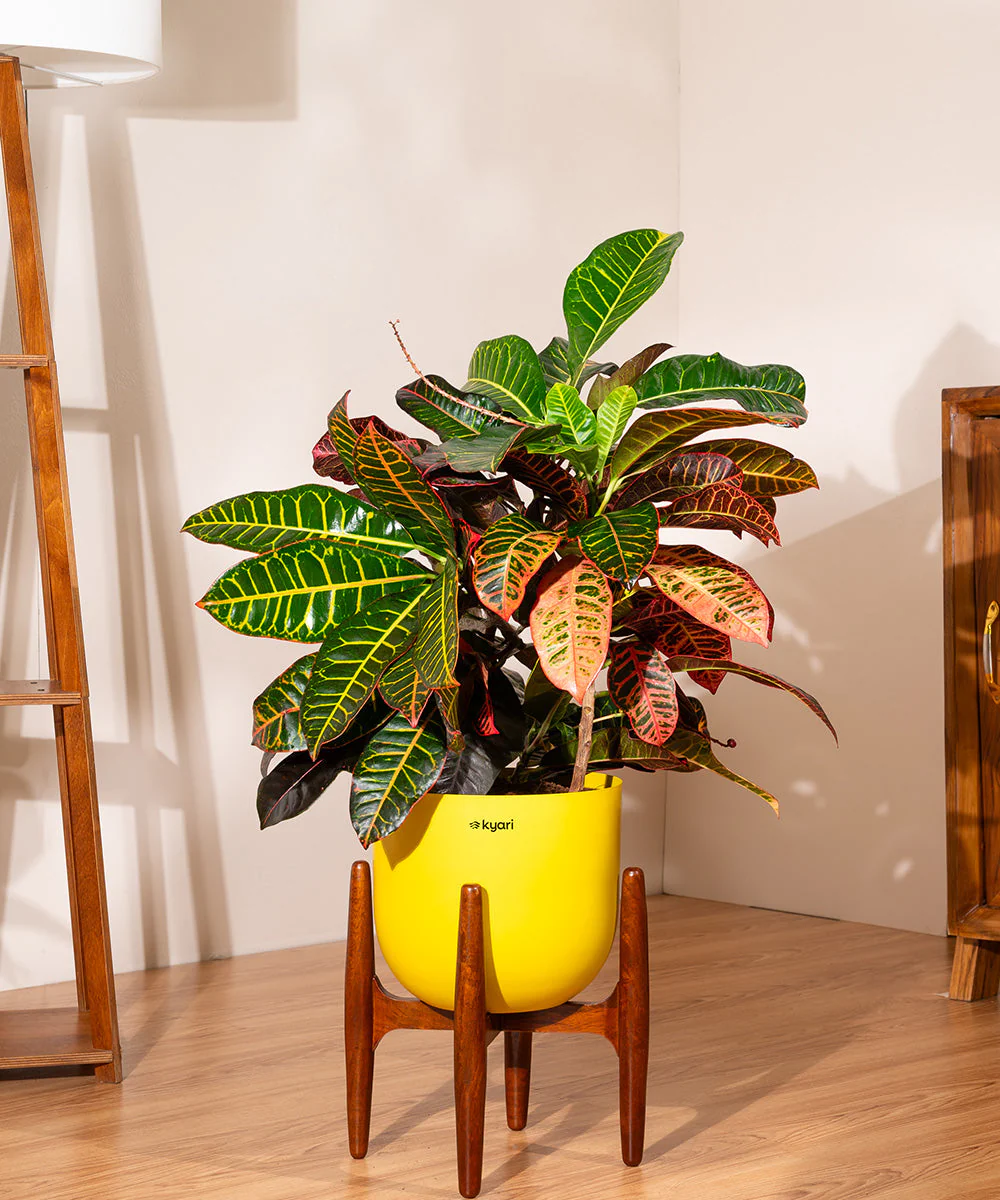 Product image 77