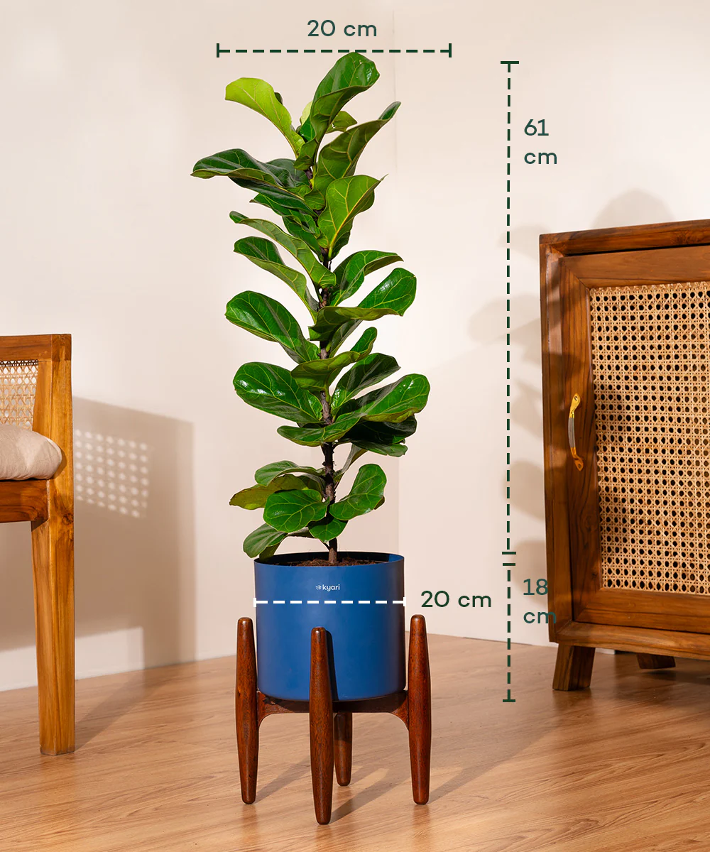 Product image 107