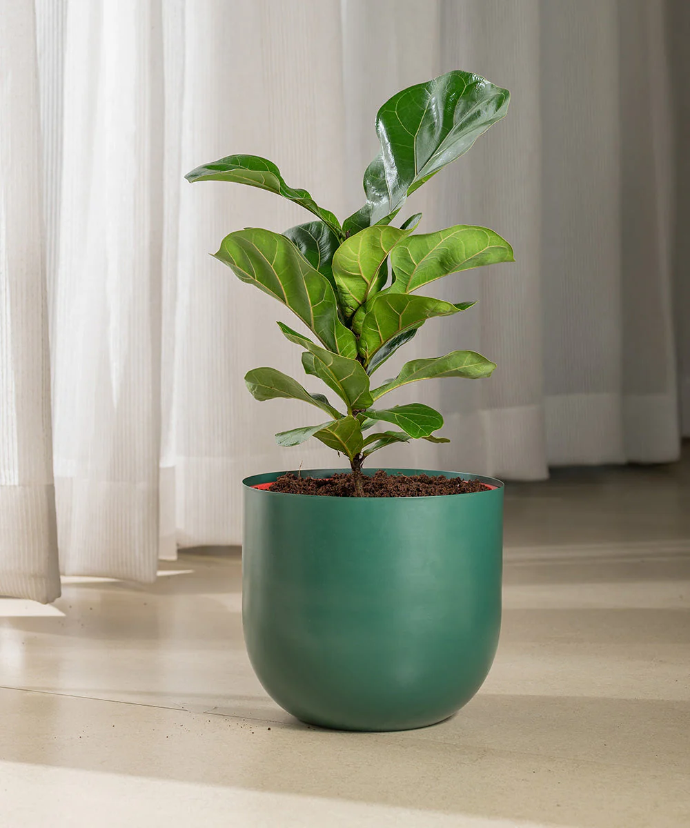 Product image 112