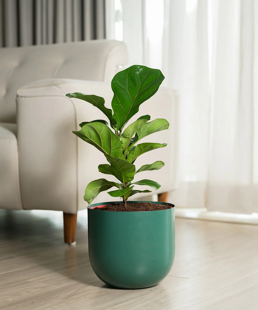 Product image 113