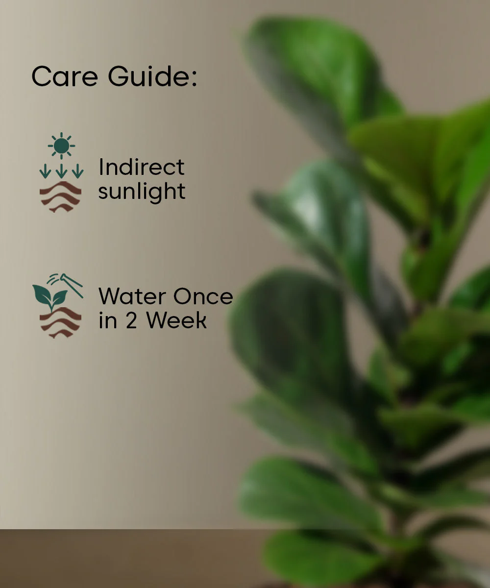 Product image 116