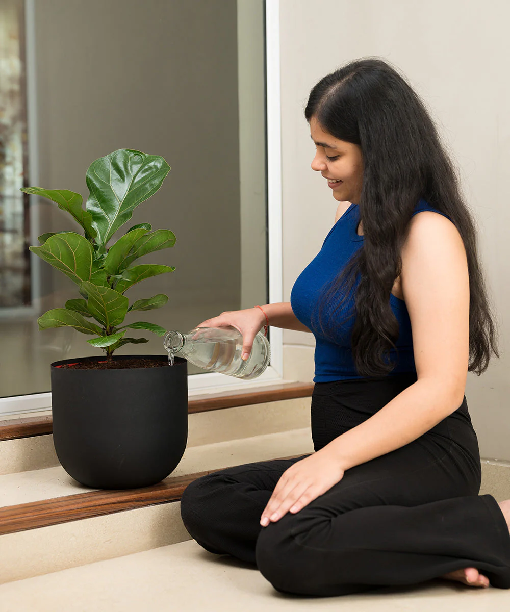 Product image 119