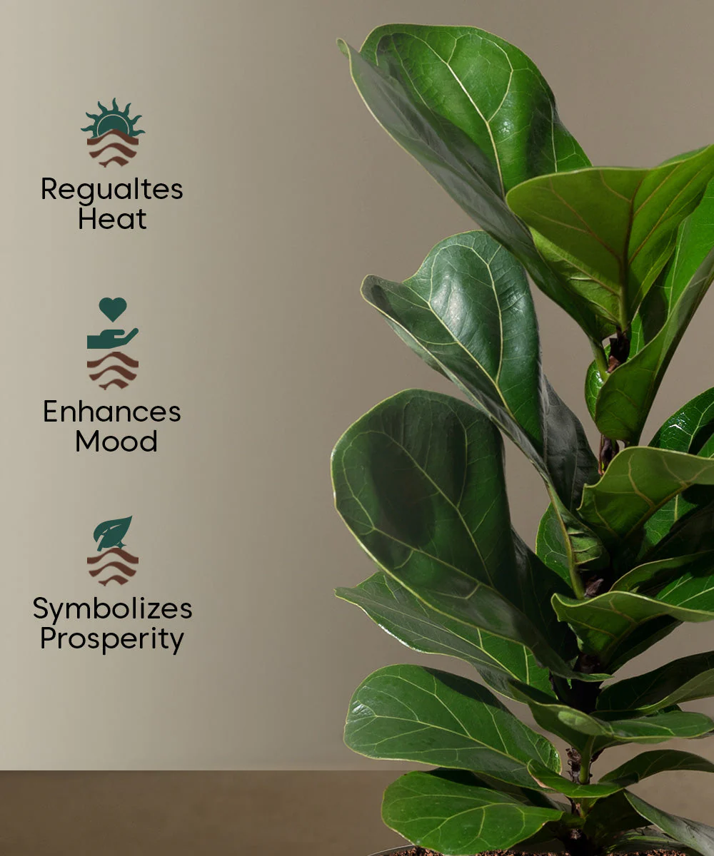 Product image 120