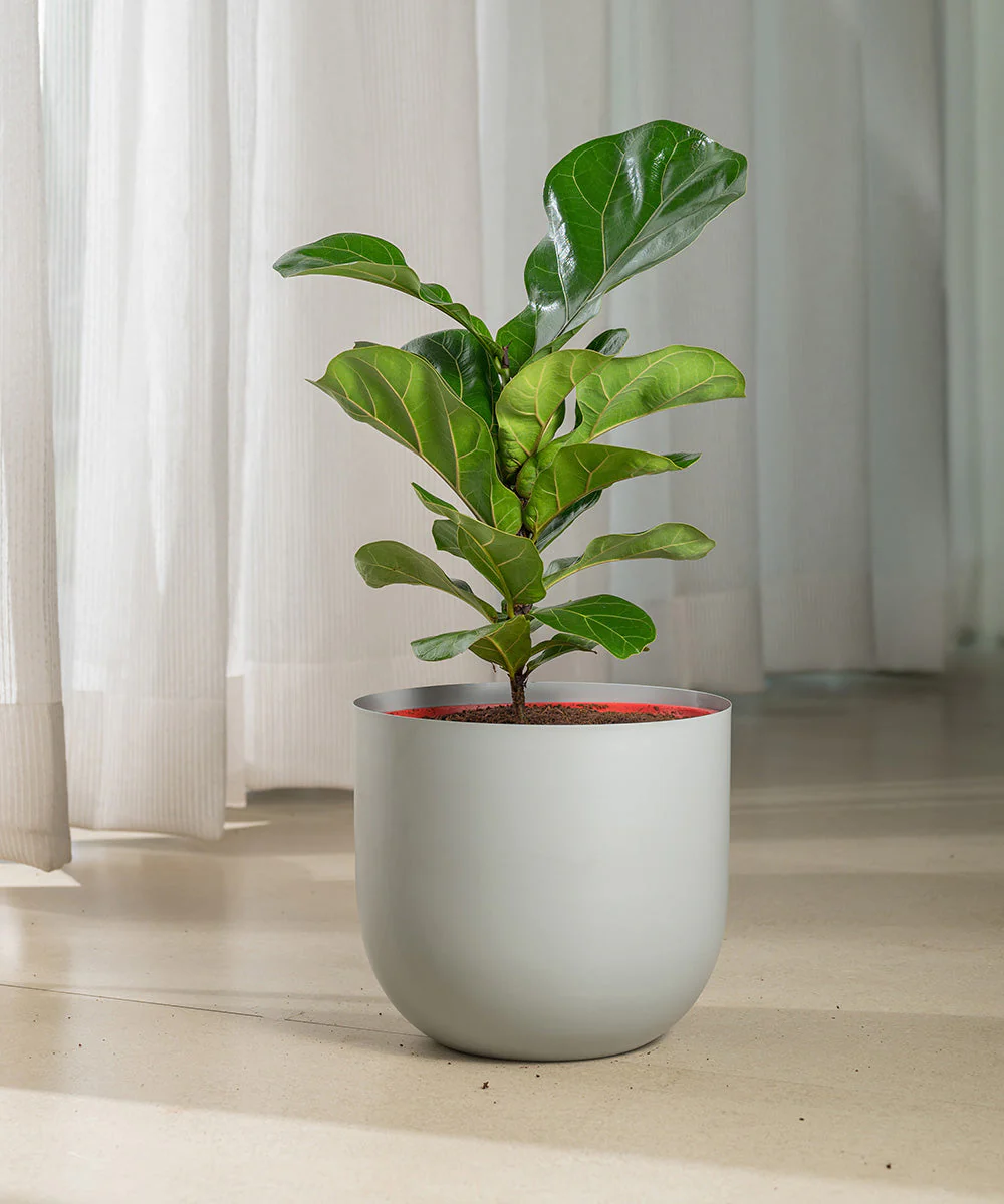 Product image 127