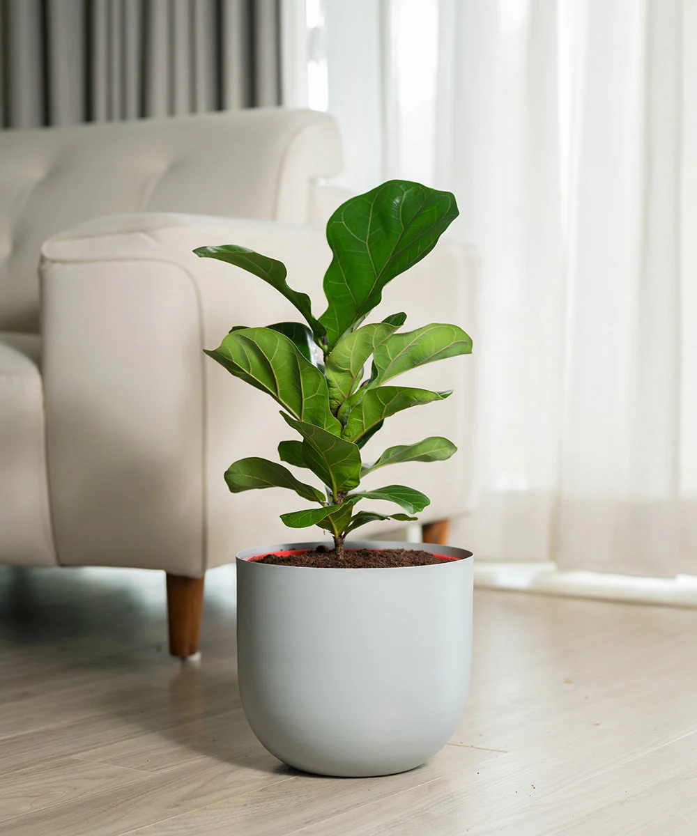 Product image 128