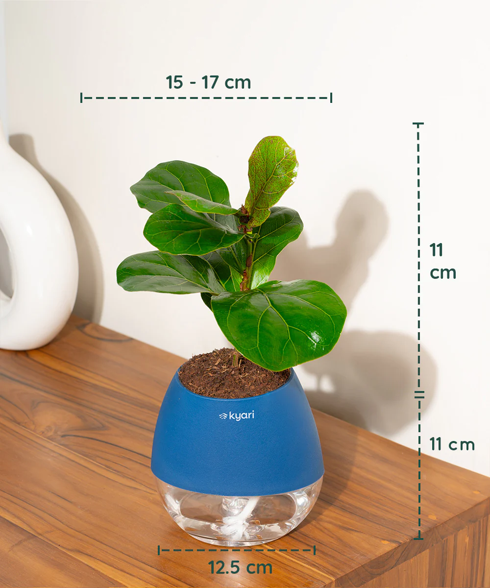 Product image 133