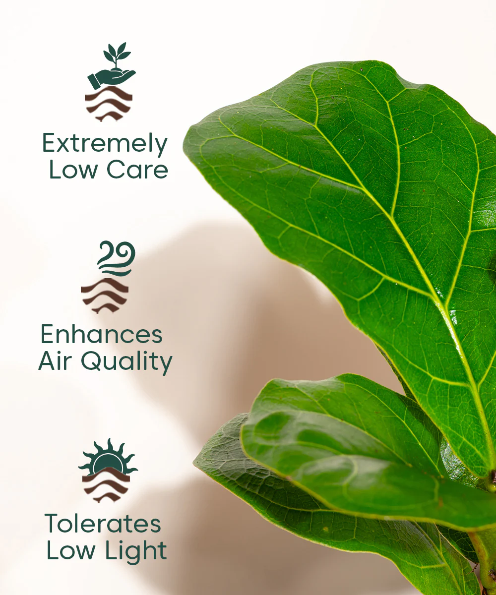 Product image 137
