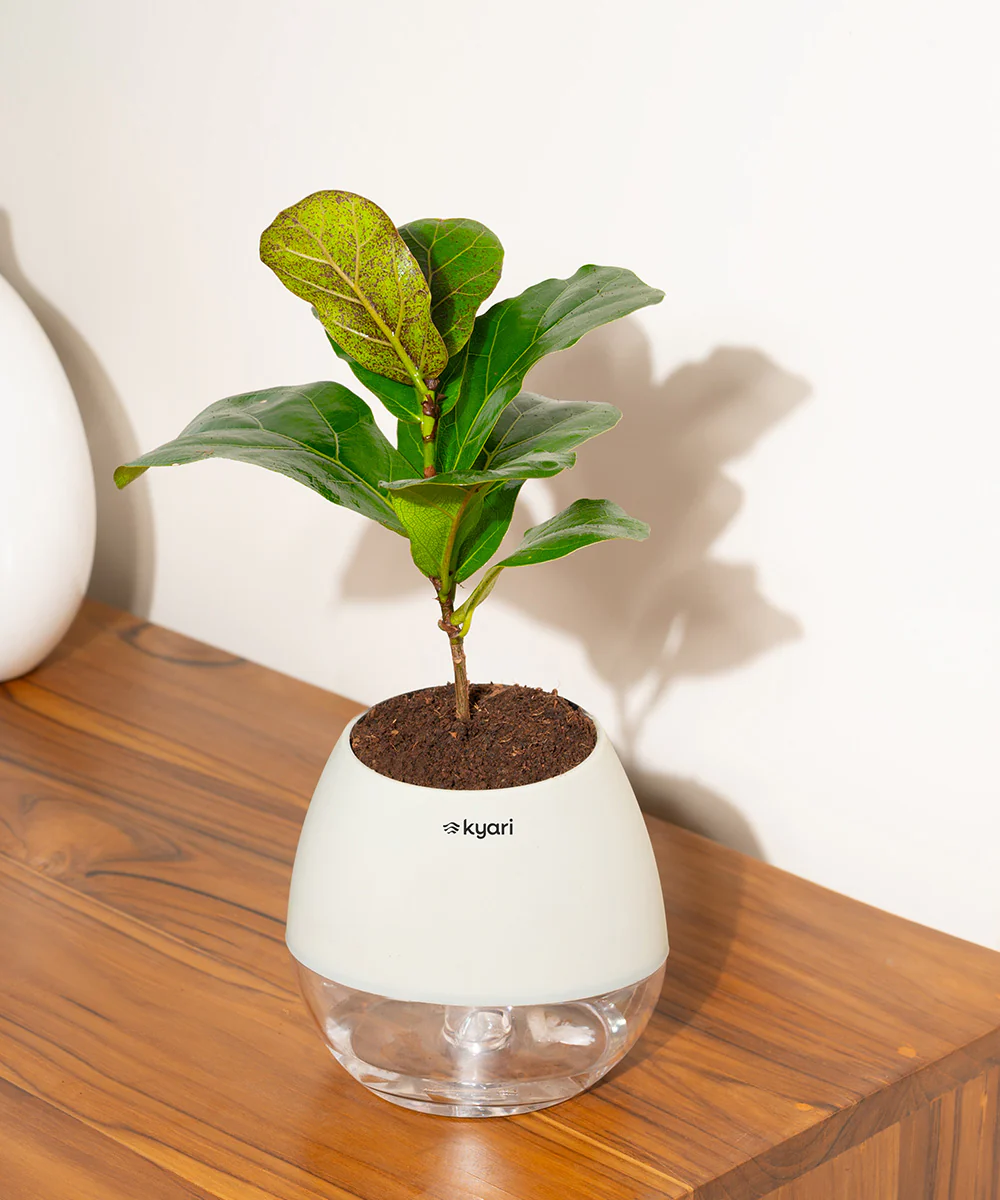 Product image 140