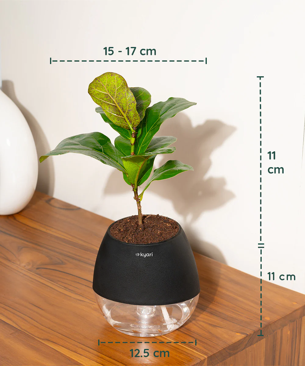 Product image 149