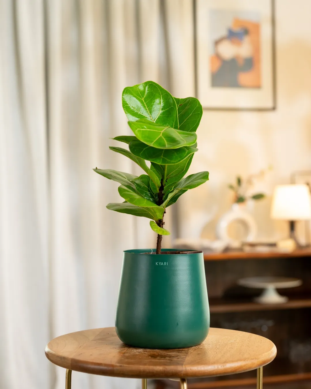 Product image 67