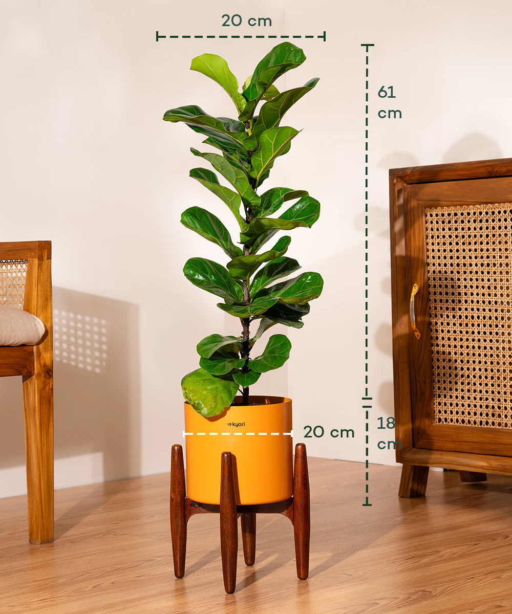 Product image 87