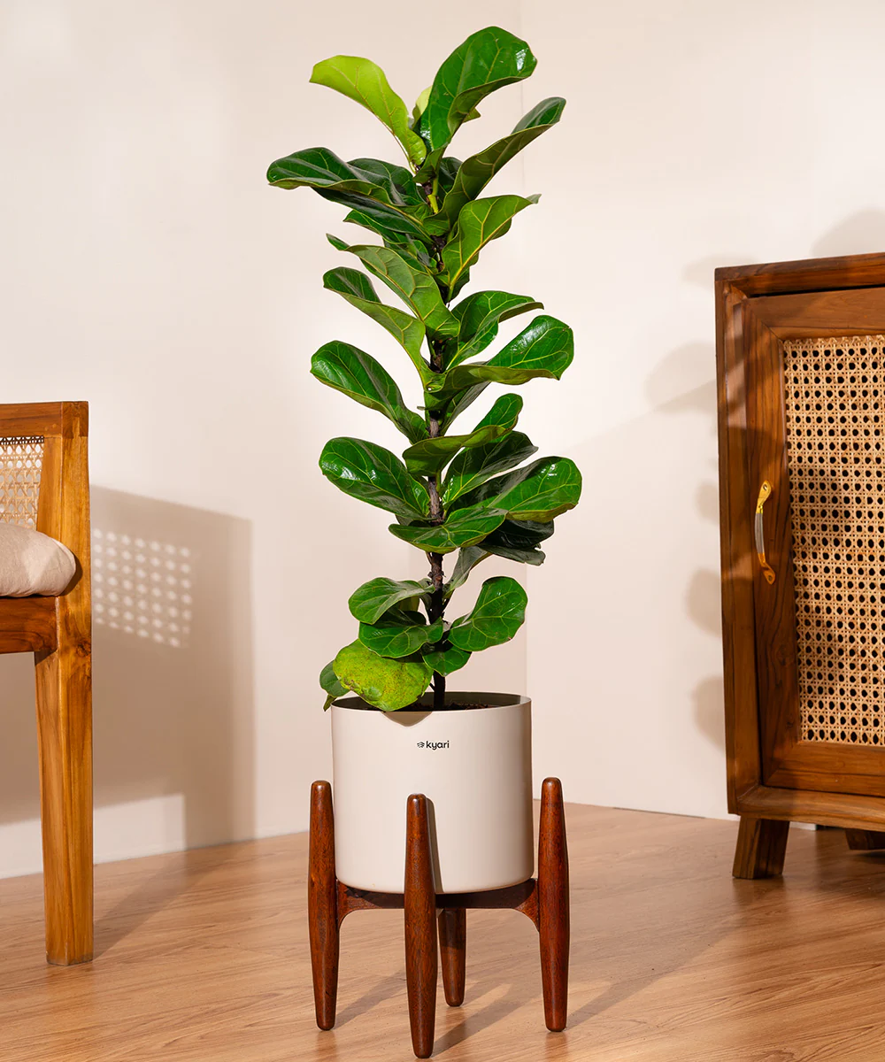 Product image 92