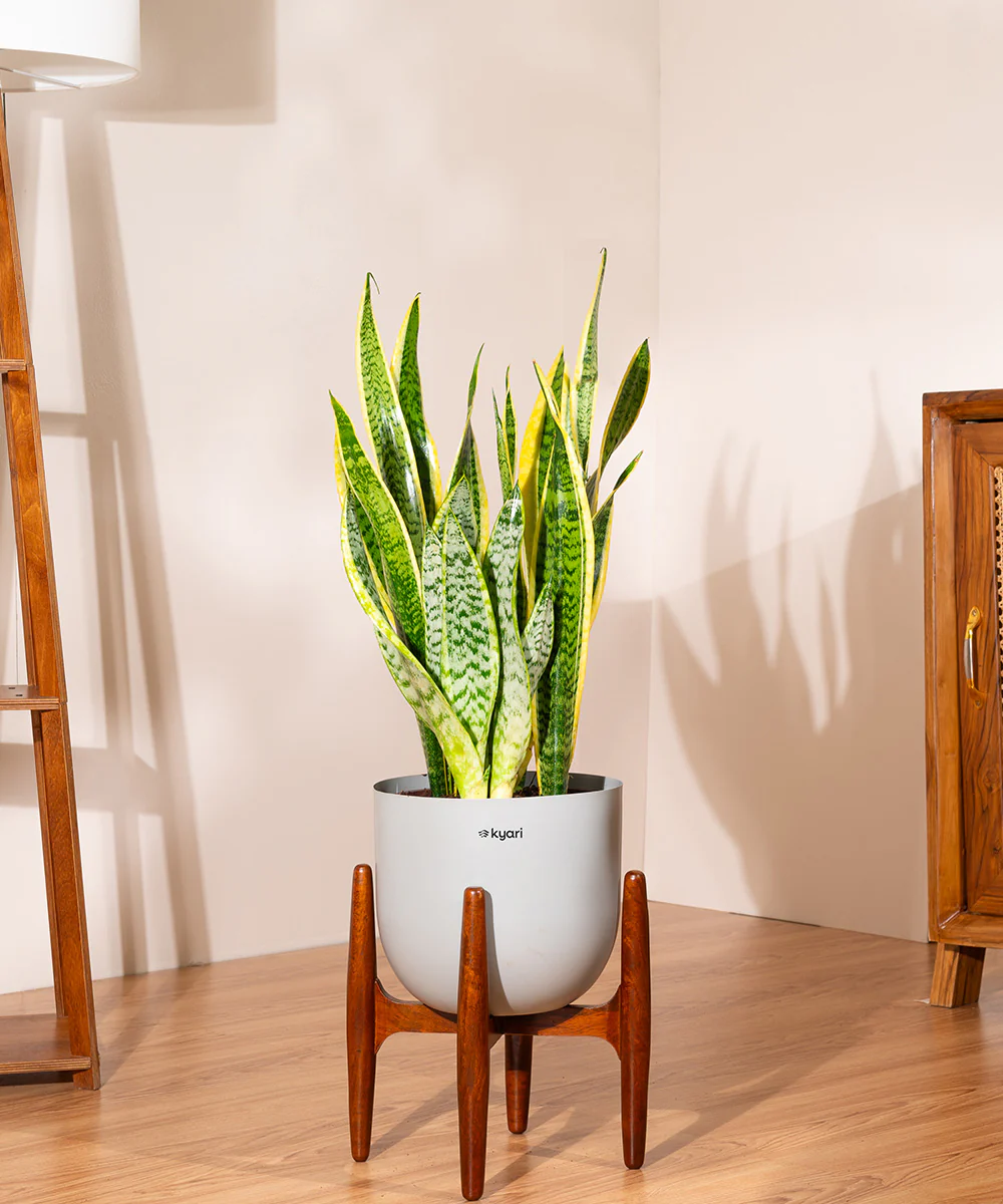 Product image 104