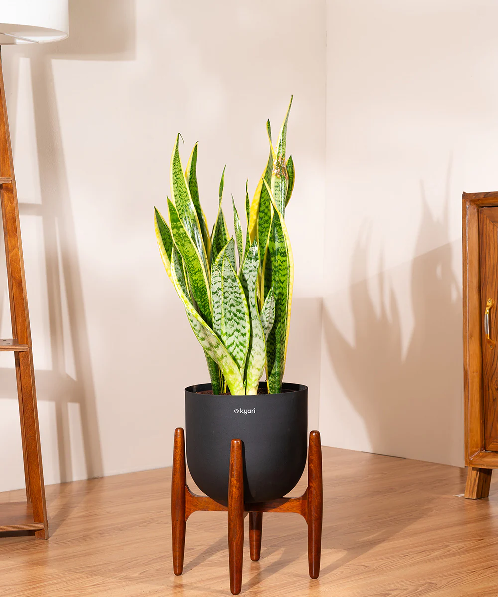 Product image 116