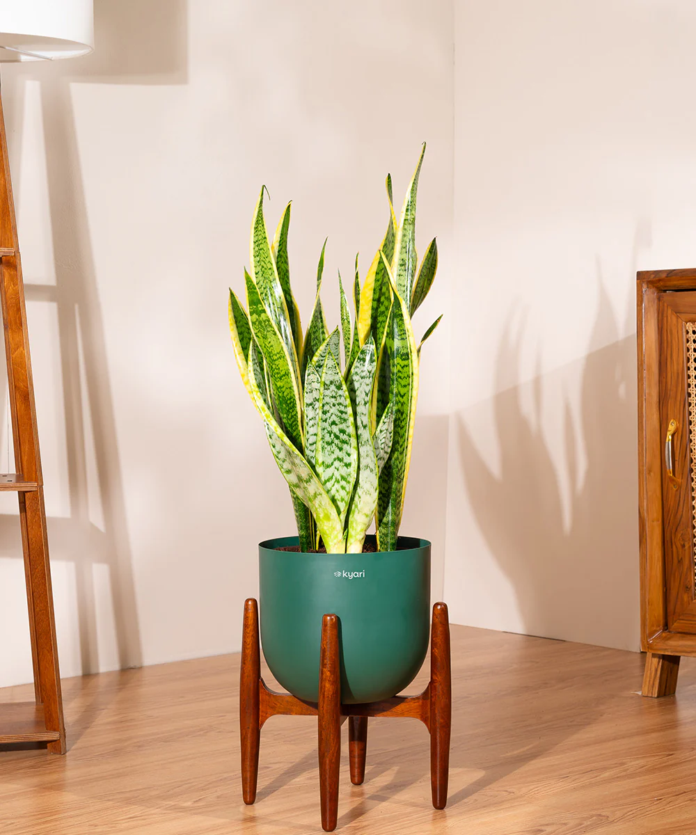 Product image 122