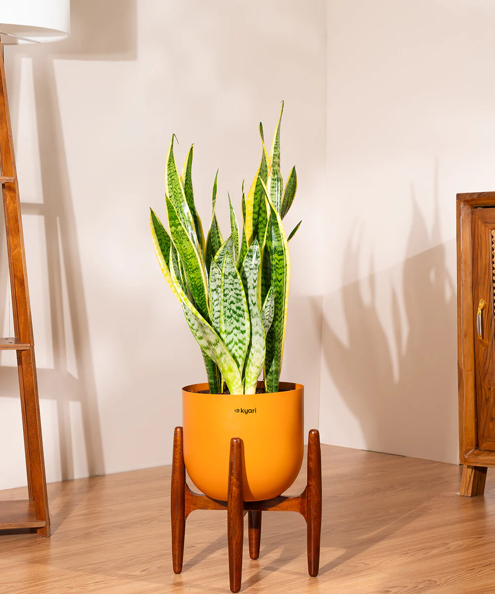 Product image 128