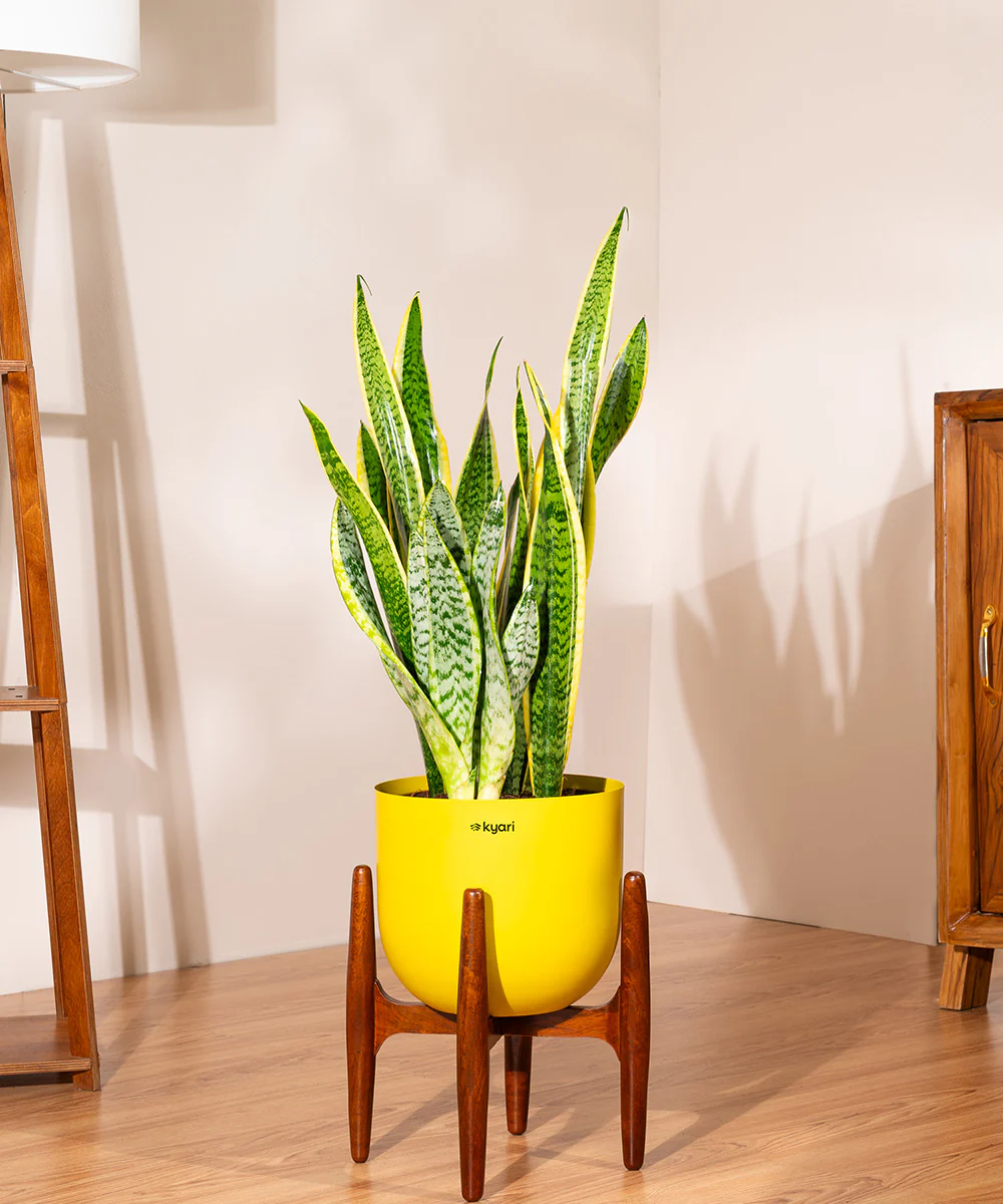 Product image 134