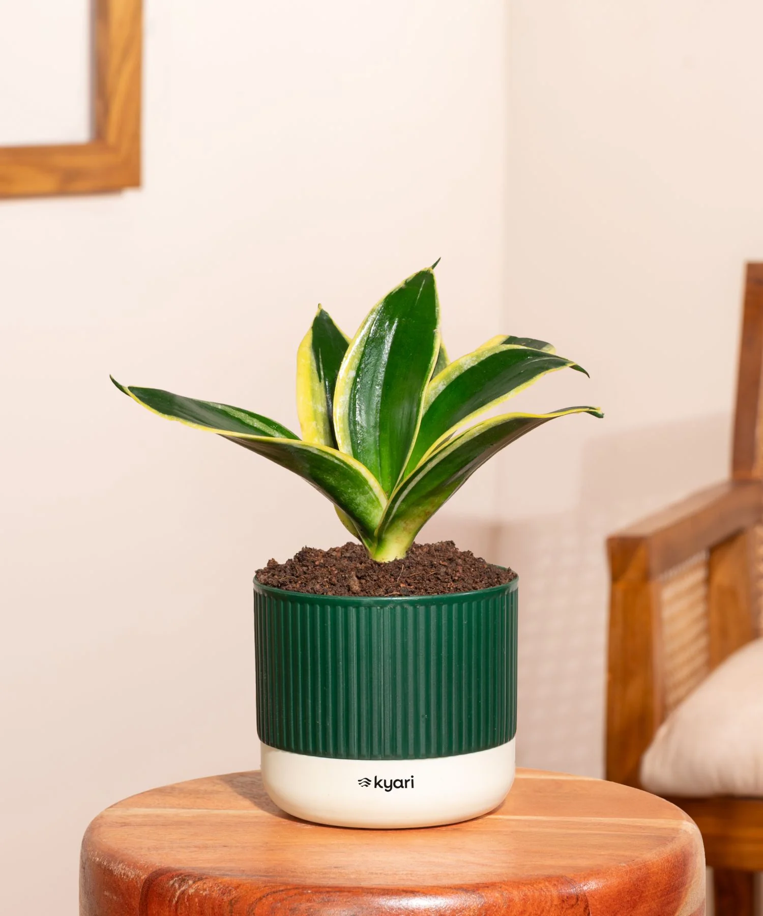 Product image 140