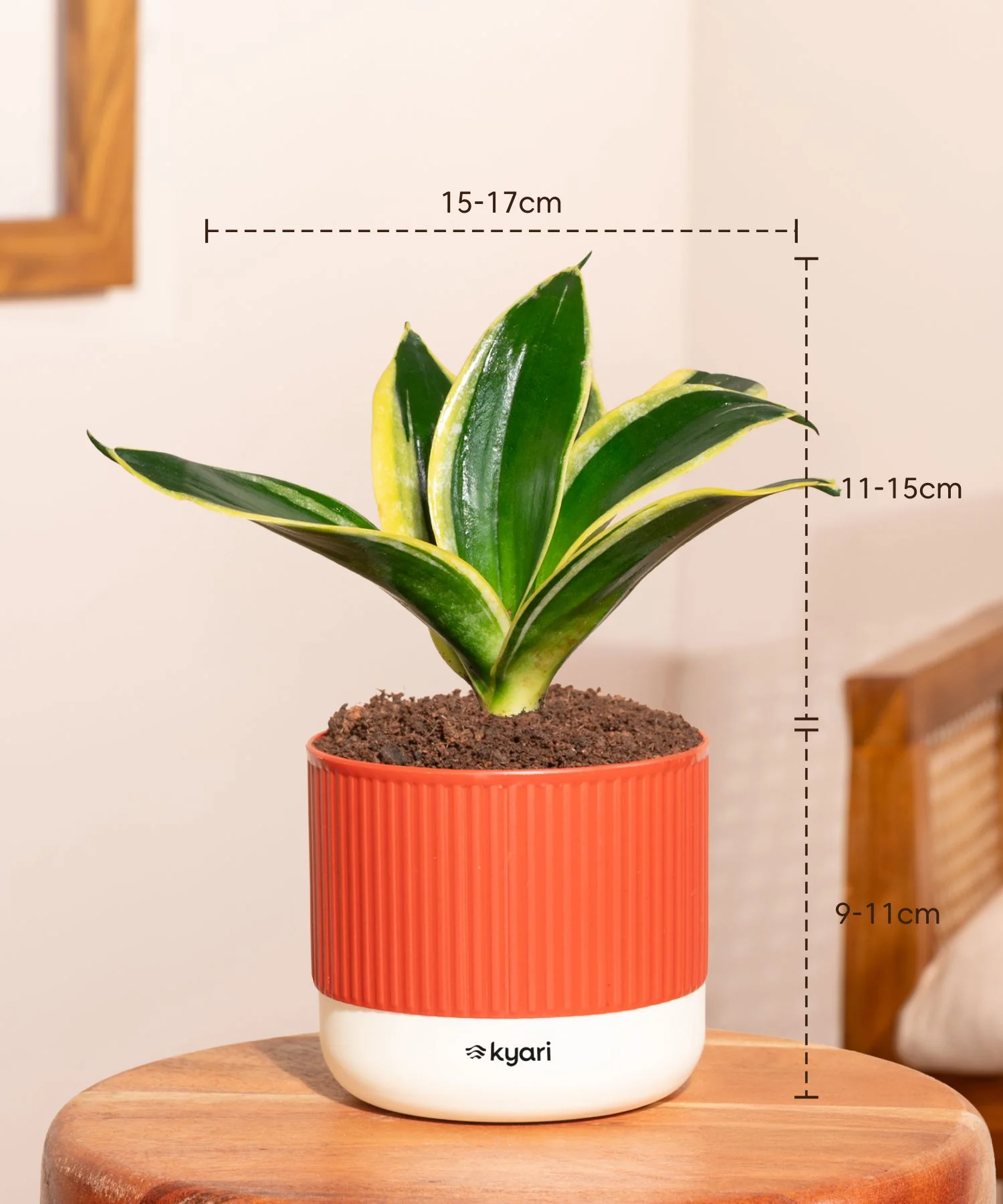 Product image 142