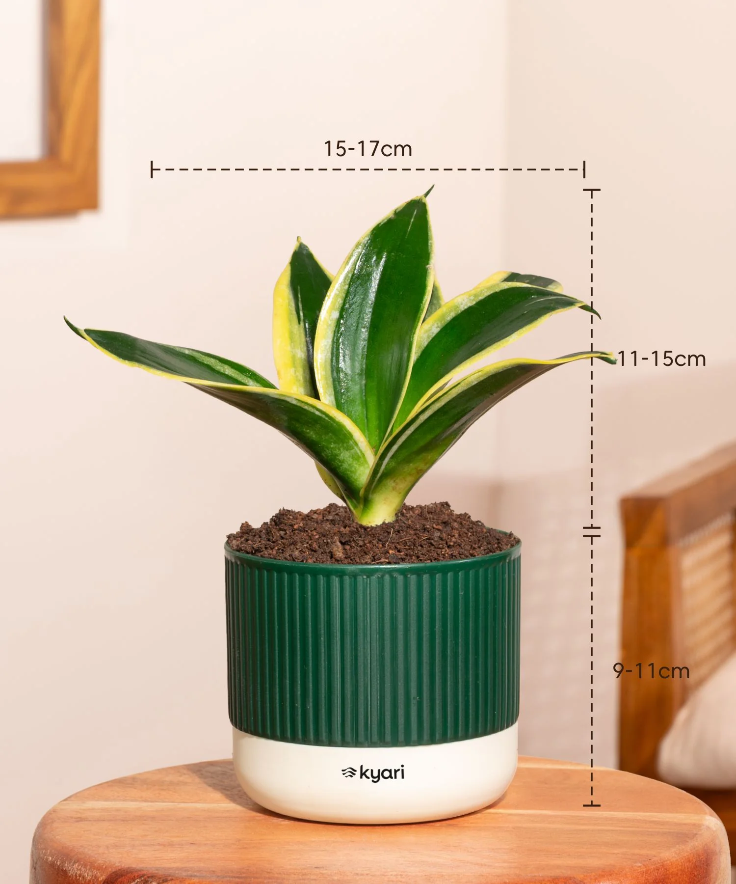 Product image 150