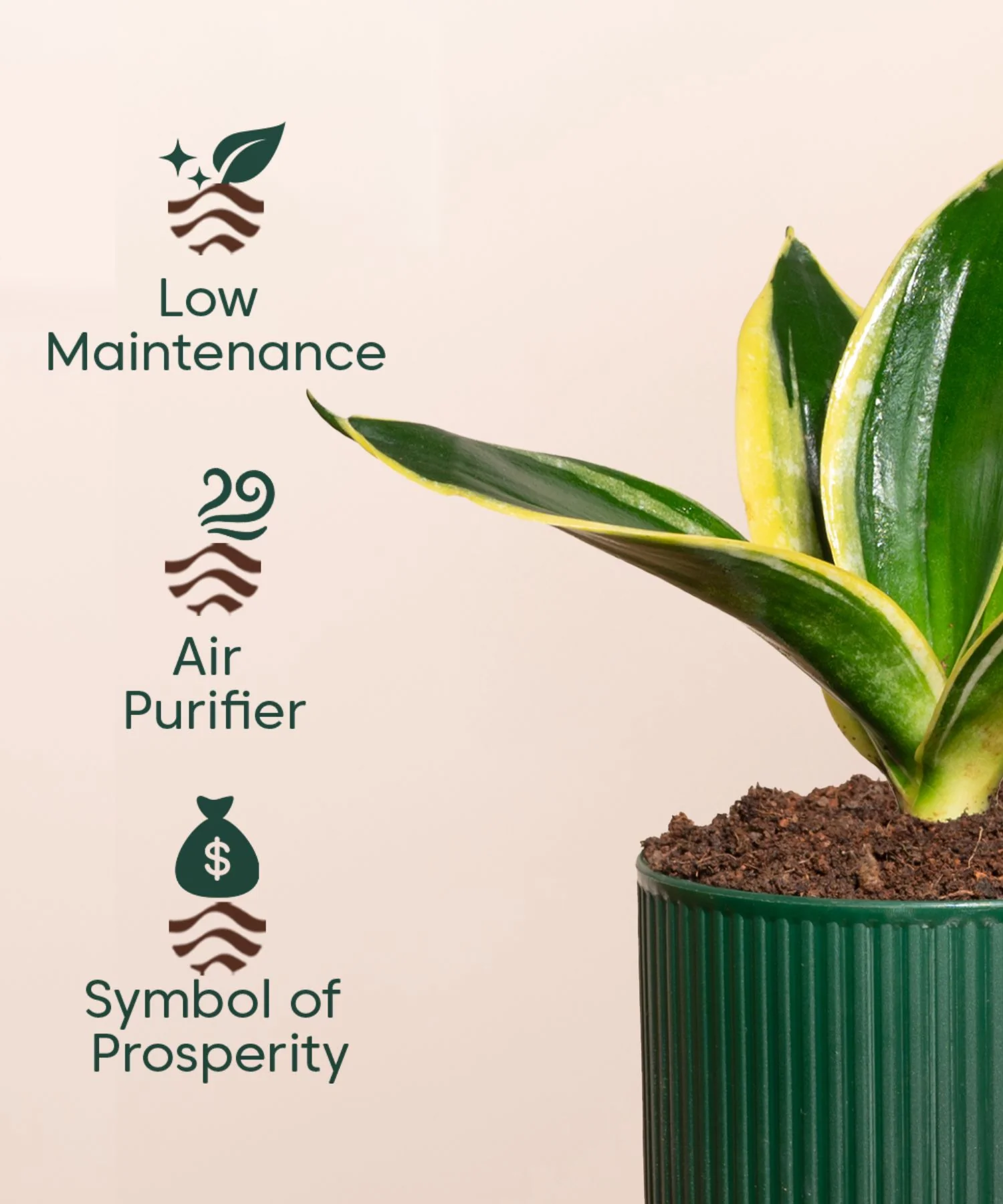 Product image 151