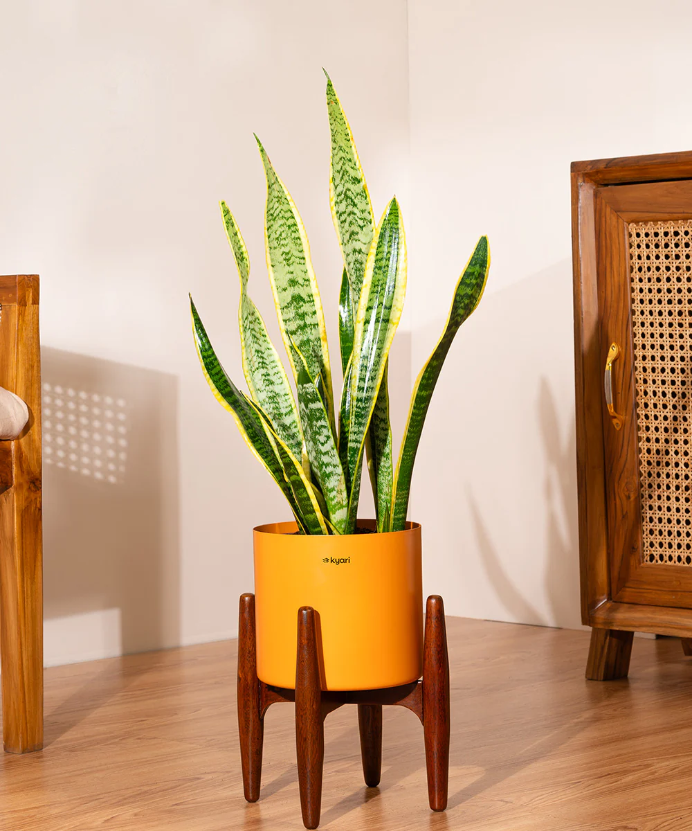 Product image 92