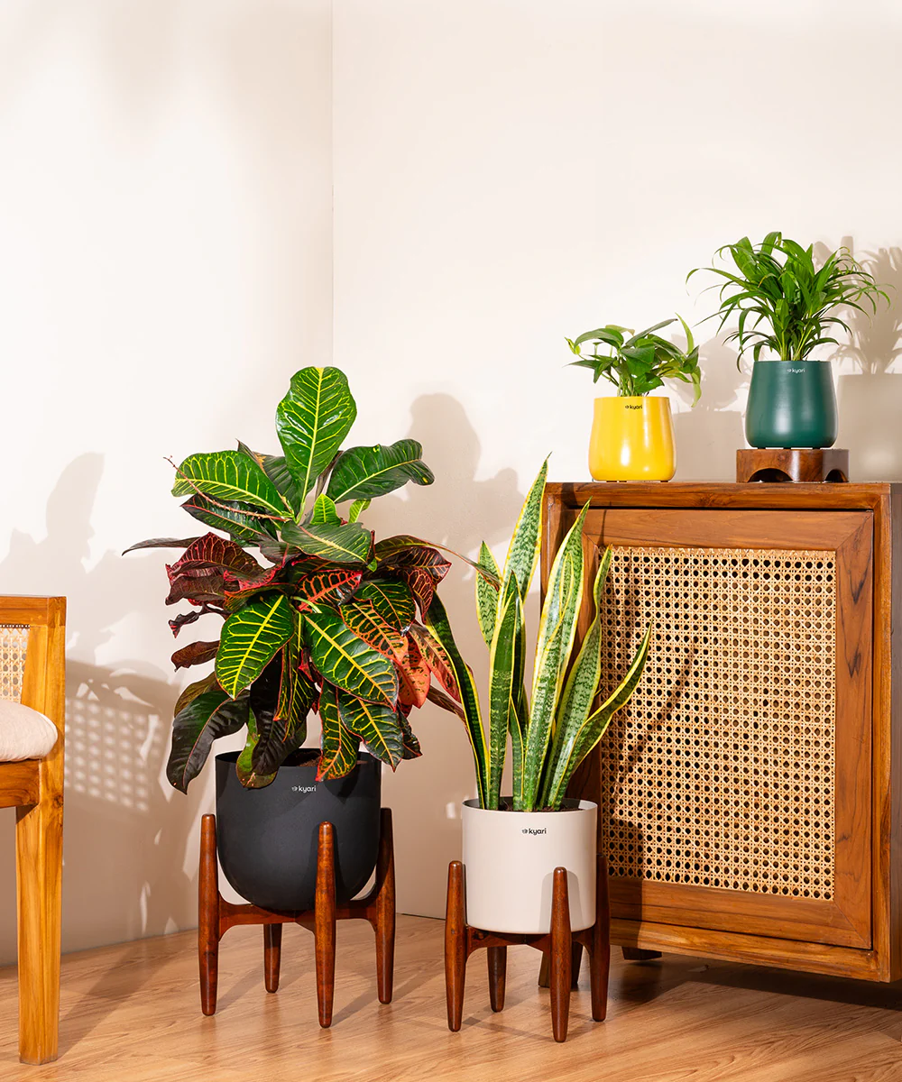 Product image 94