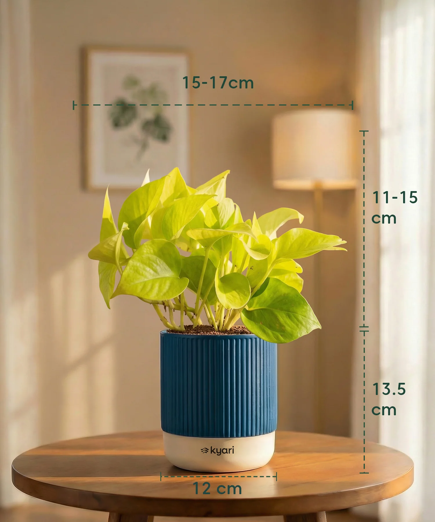 Product image 45