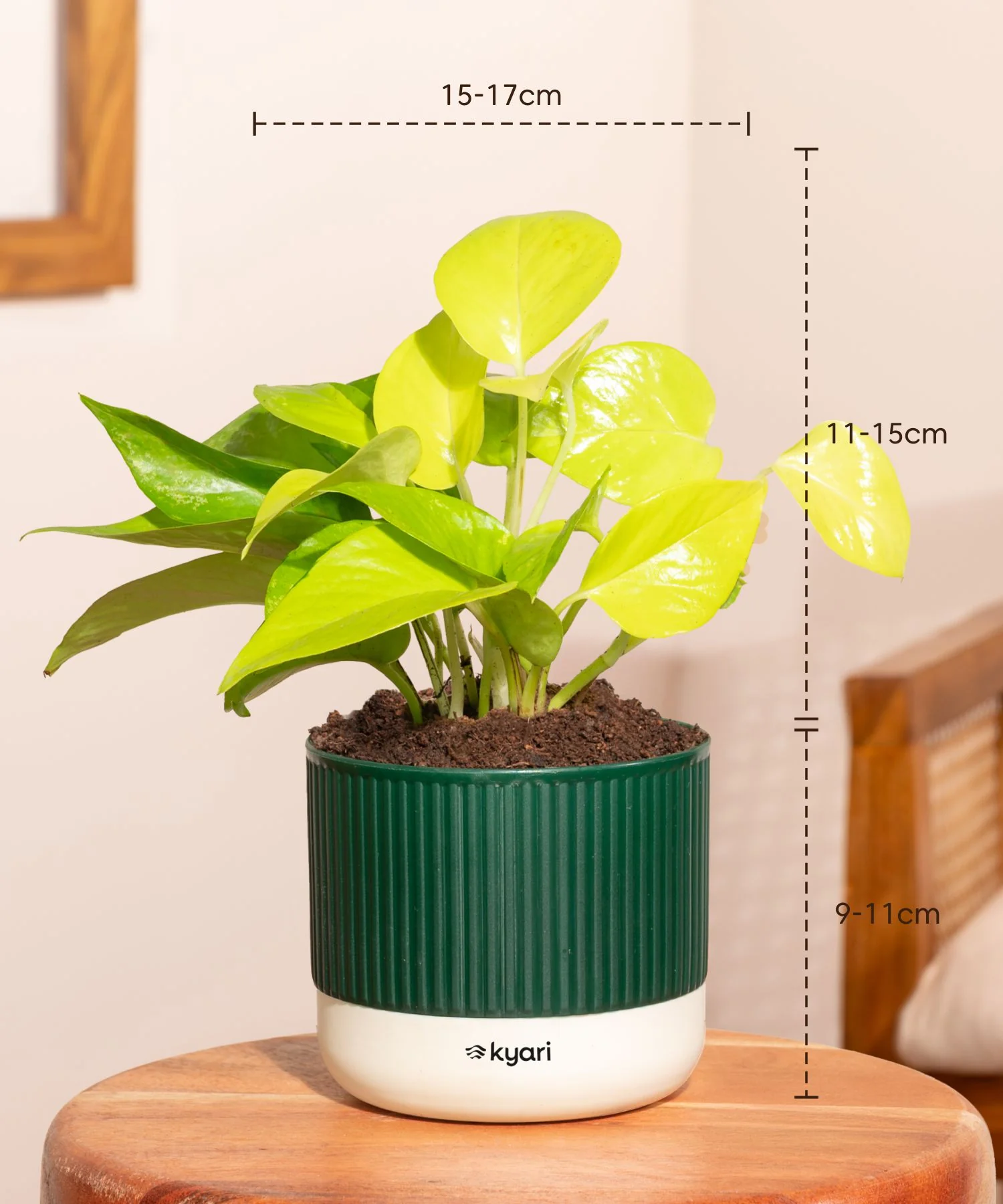 Product image 108