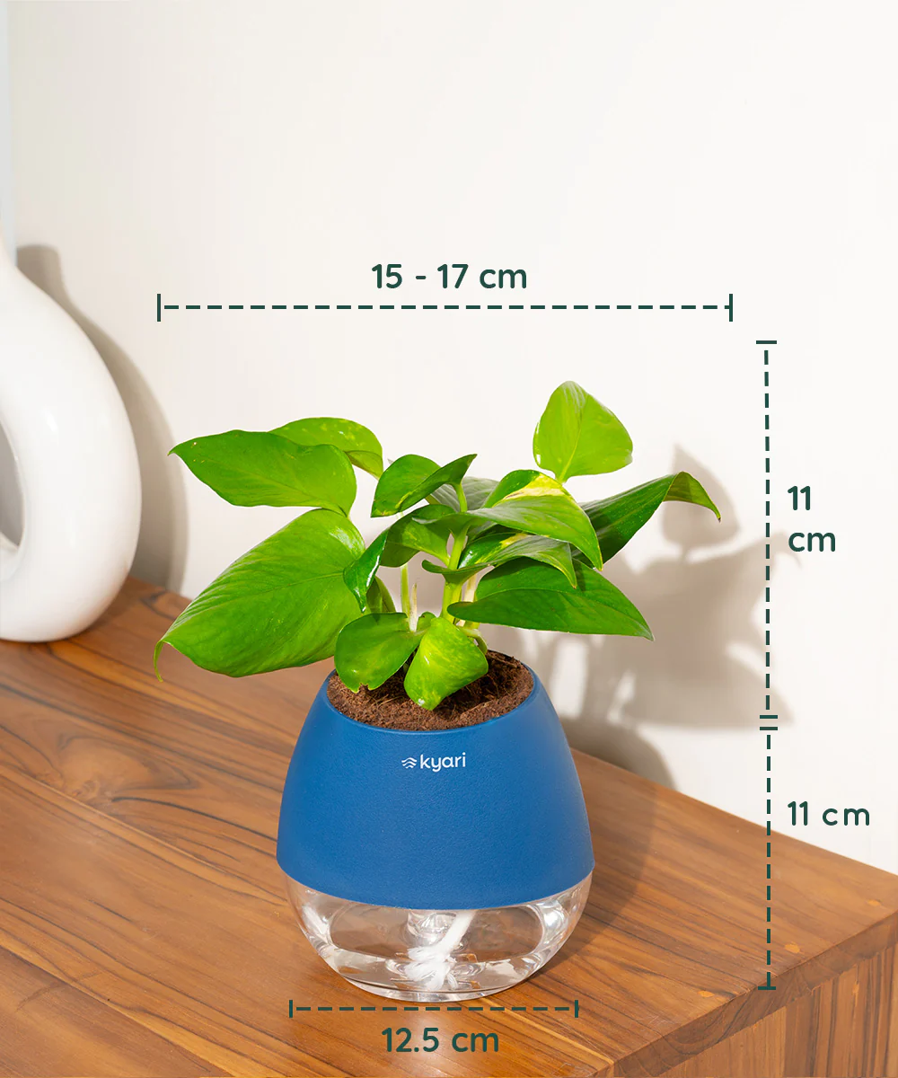 Product image 94