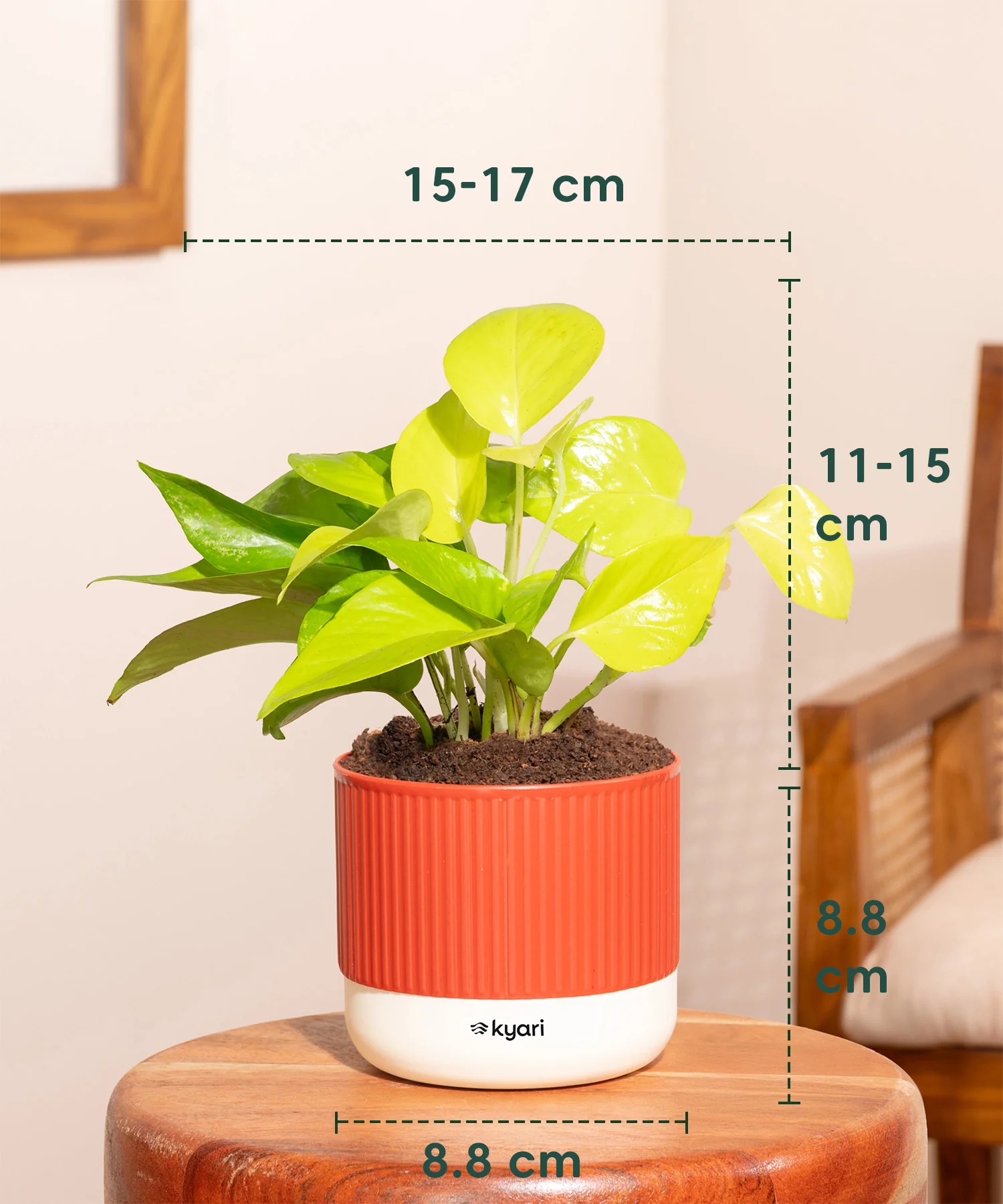 Product image 44