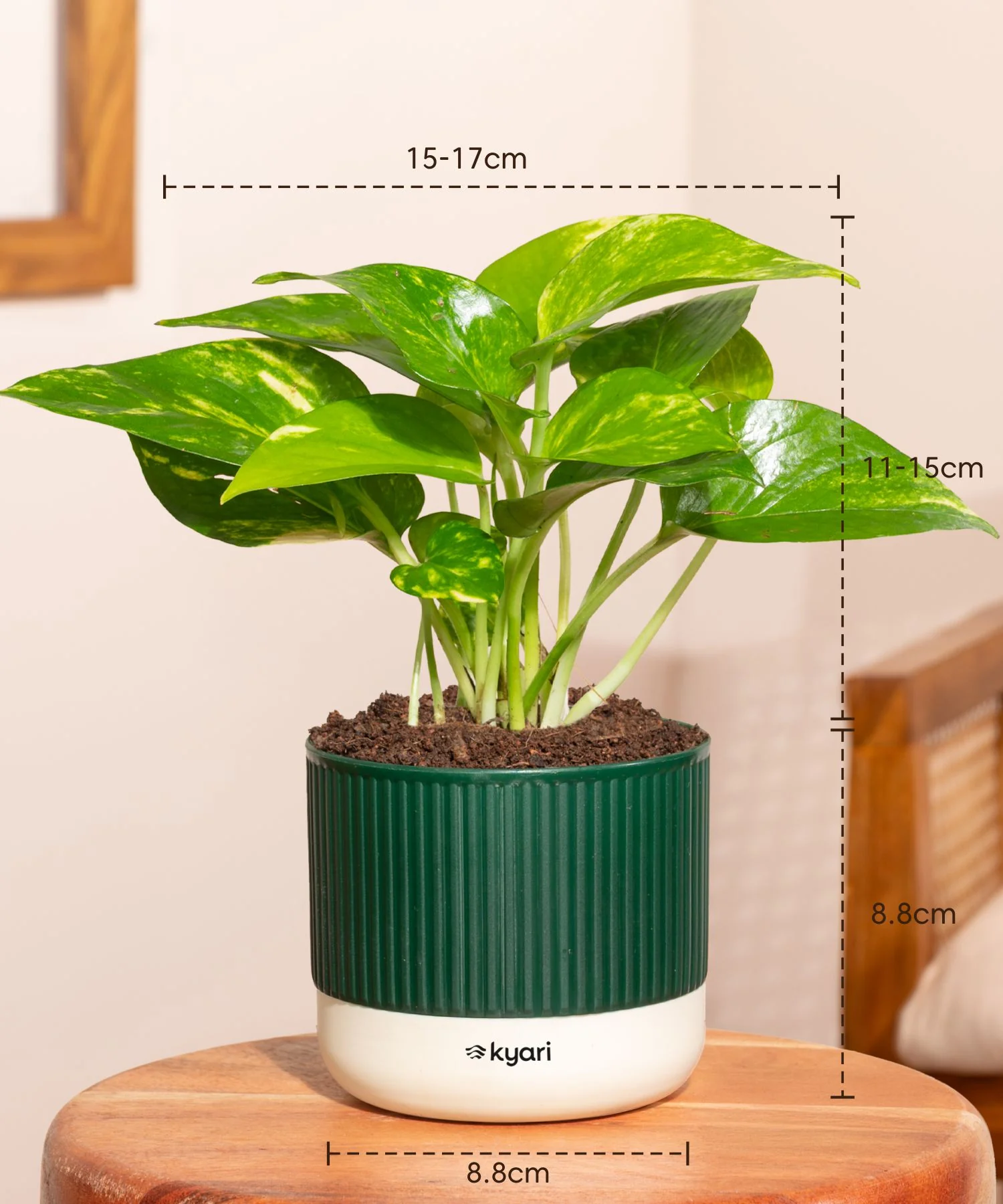 Product image 46