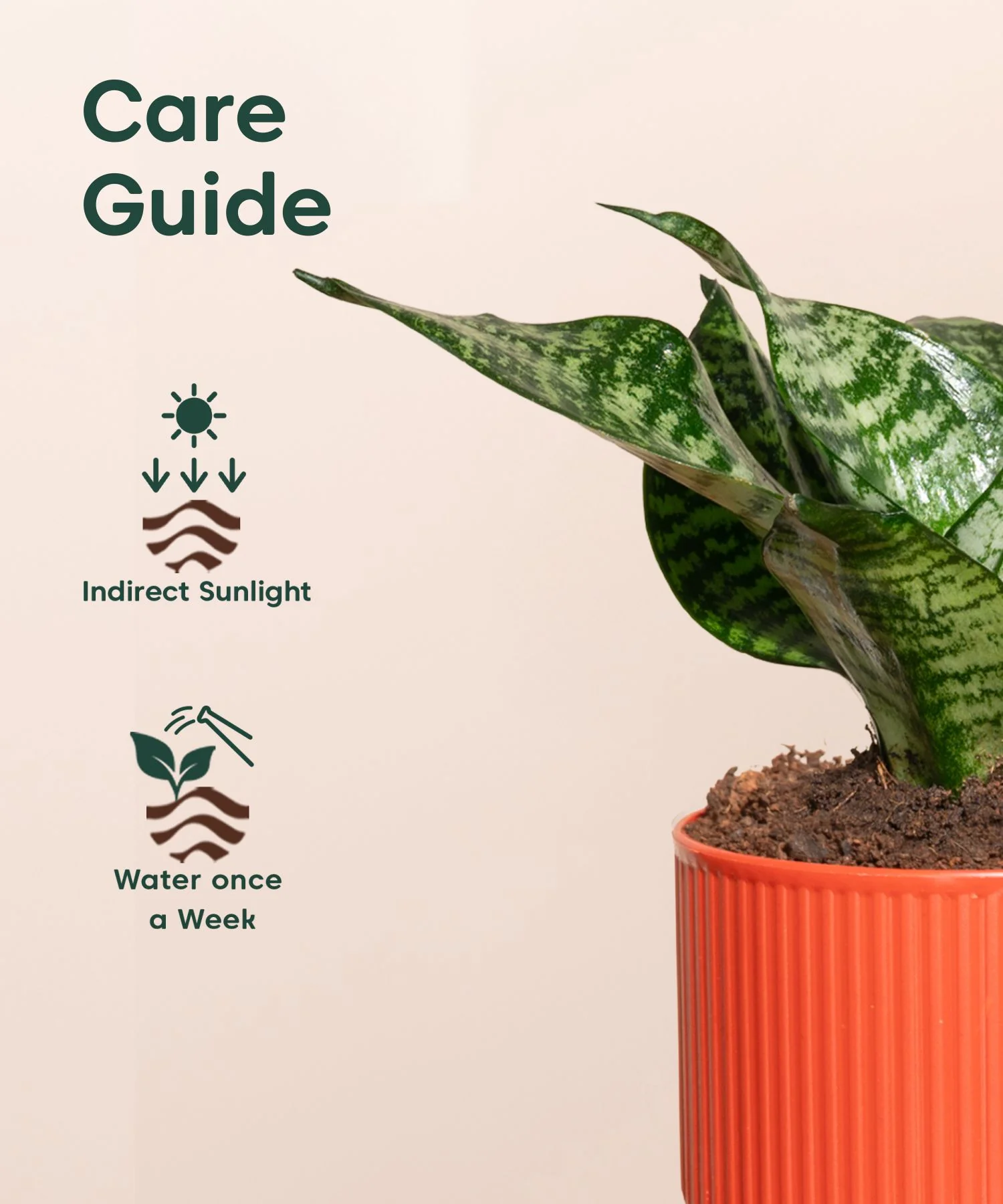 Product image 118