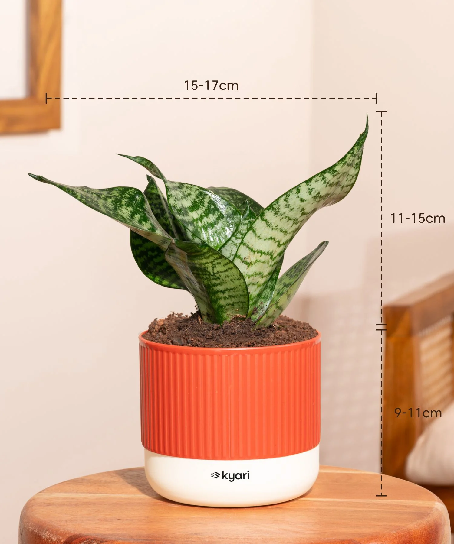 Product image 115