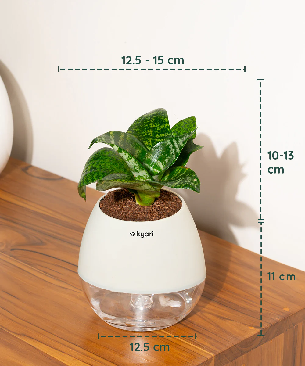 Product image 103