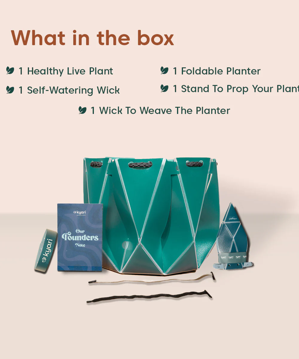 Product image 123