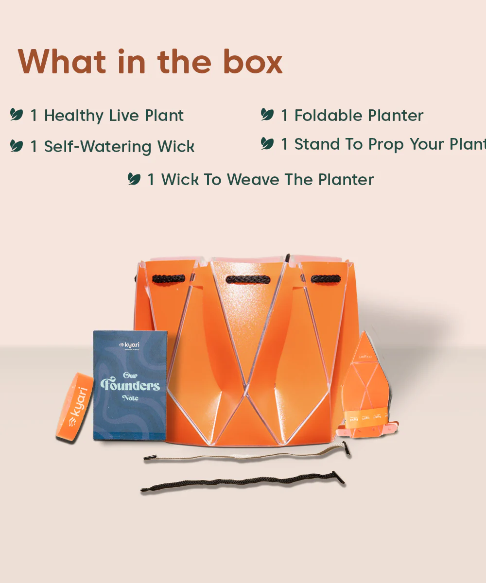 Product image 131