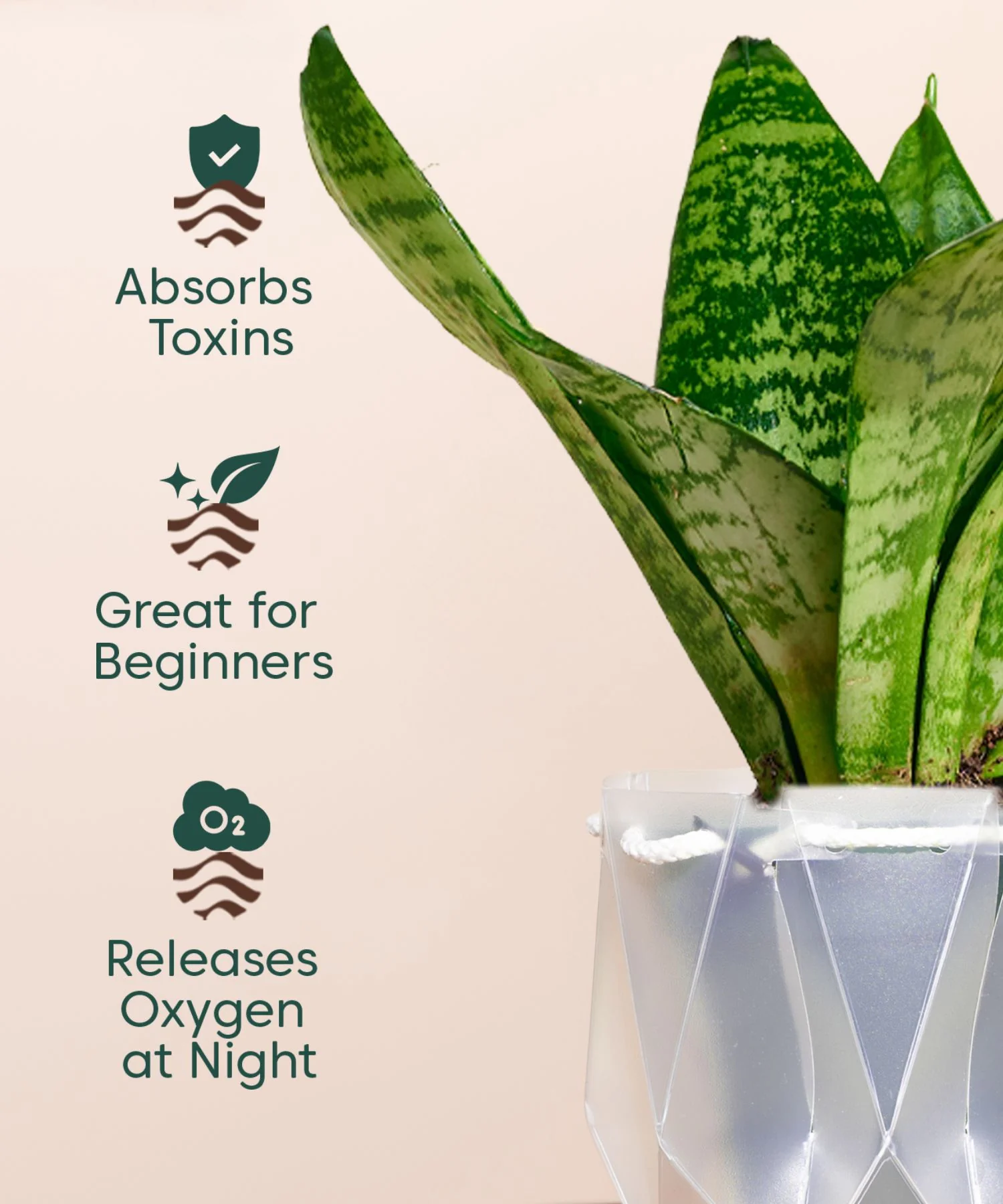Product image 138