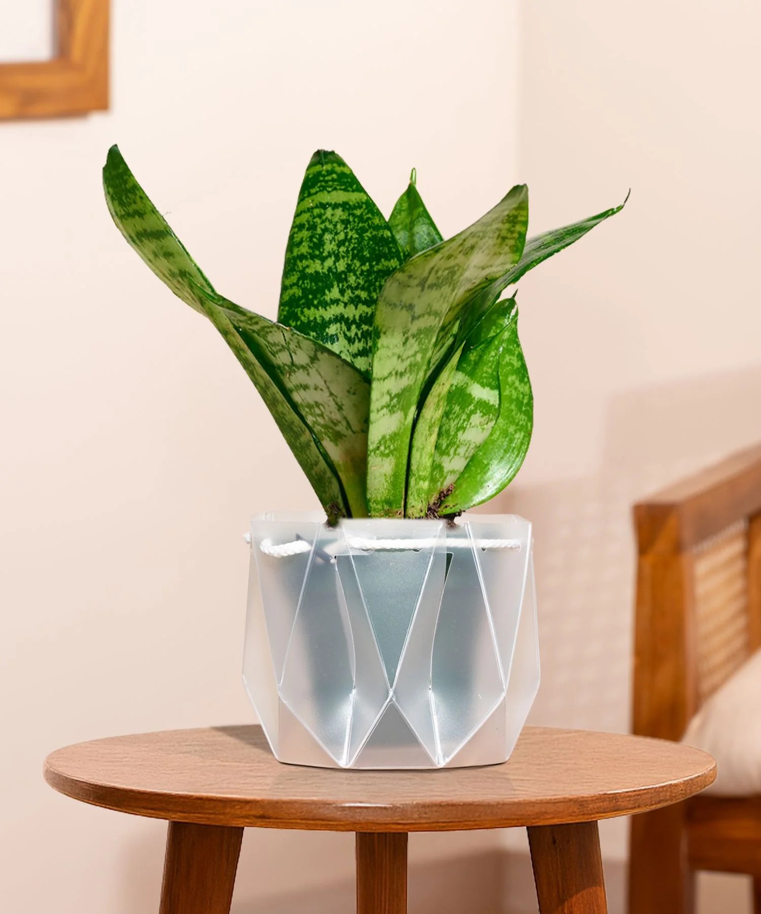 Product image 144