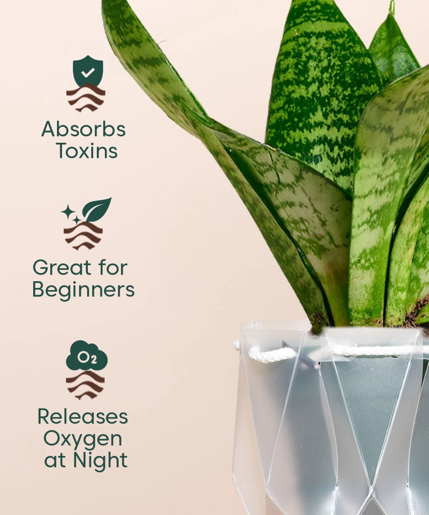 Product image 146