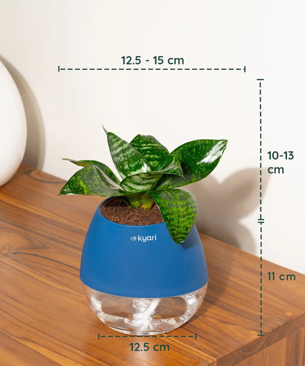 Product image 87
