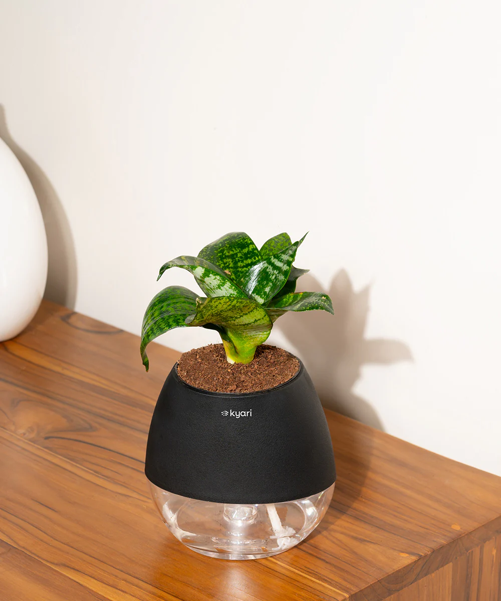 Product image 92