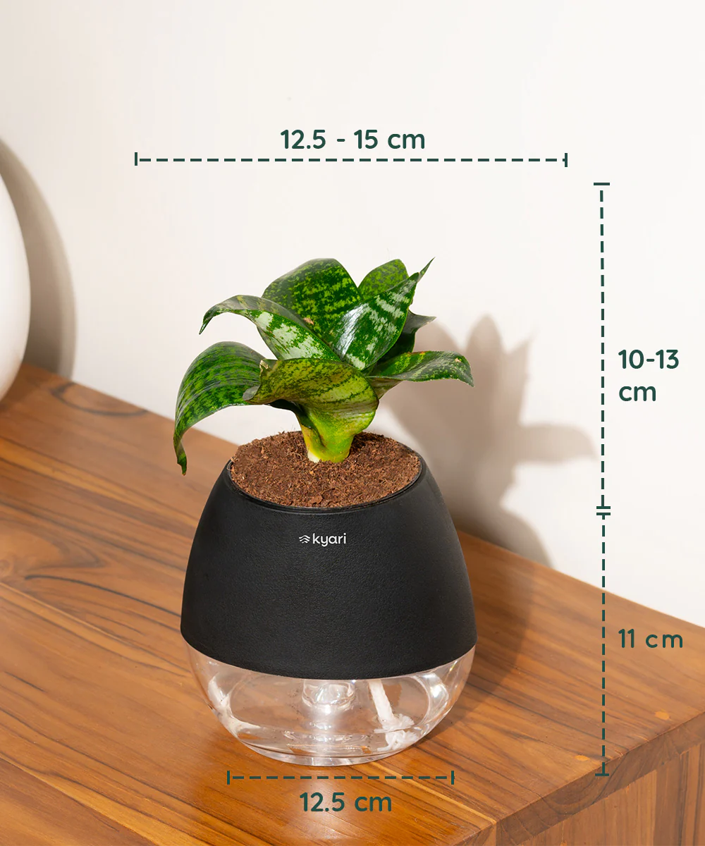 Product image 95