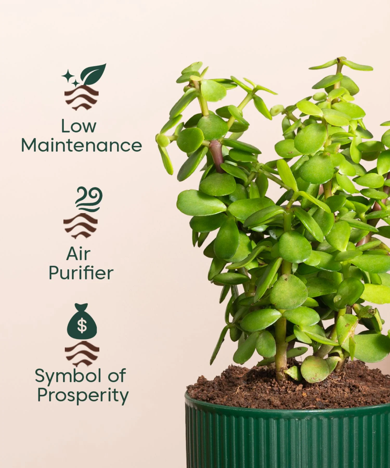 Product image 115