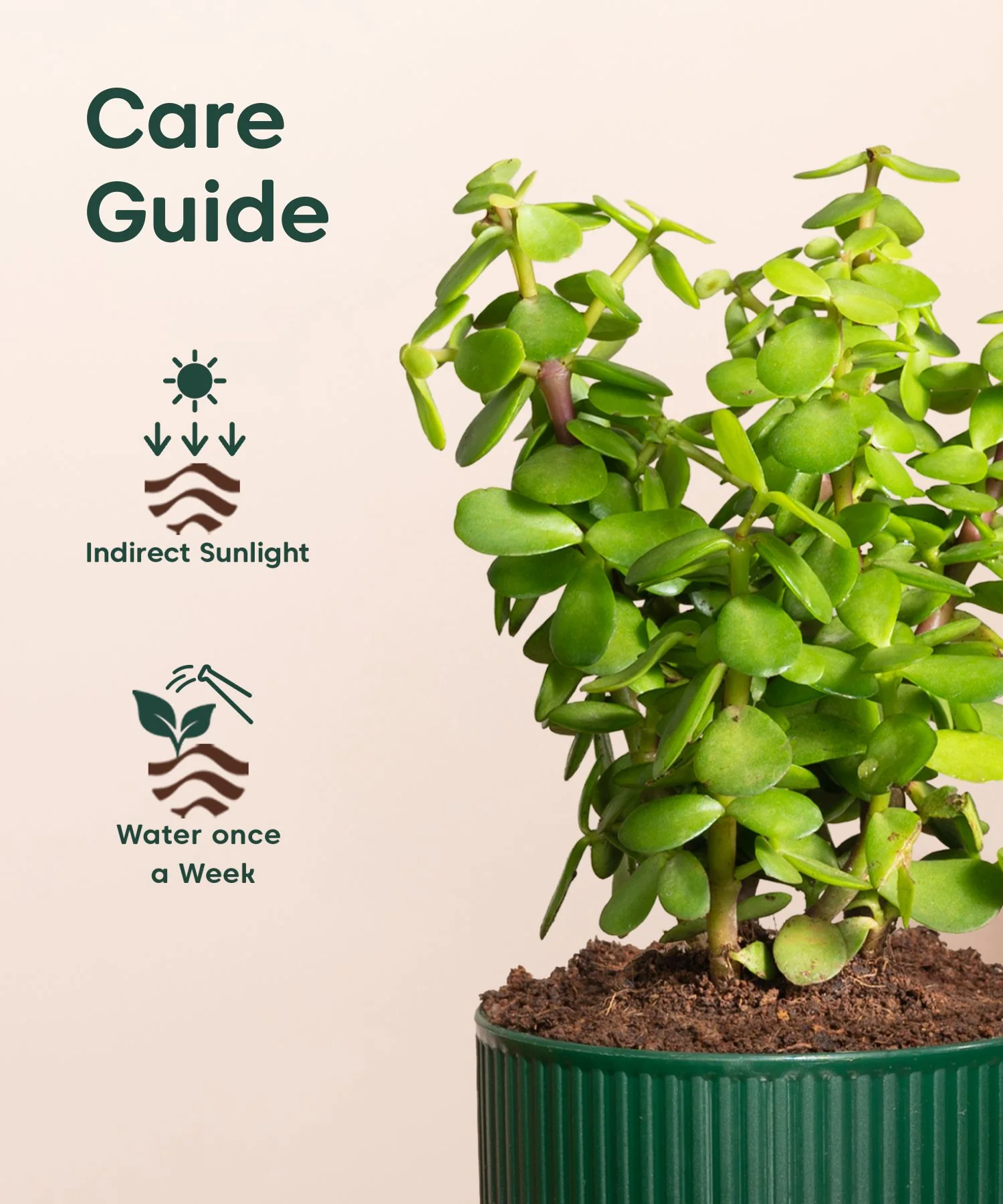 Product image 116