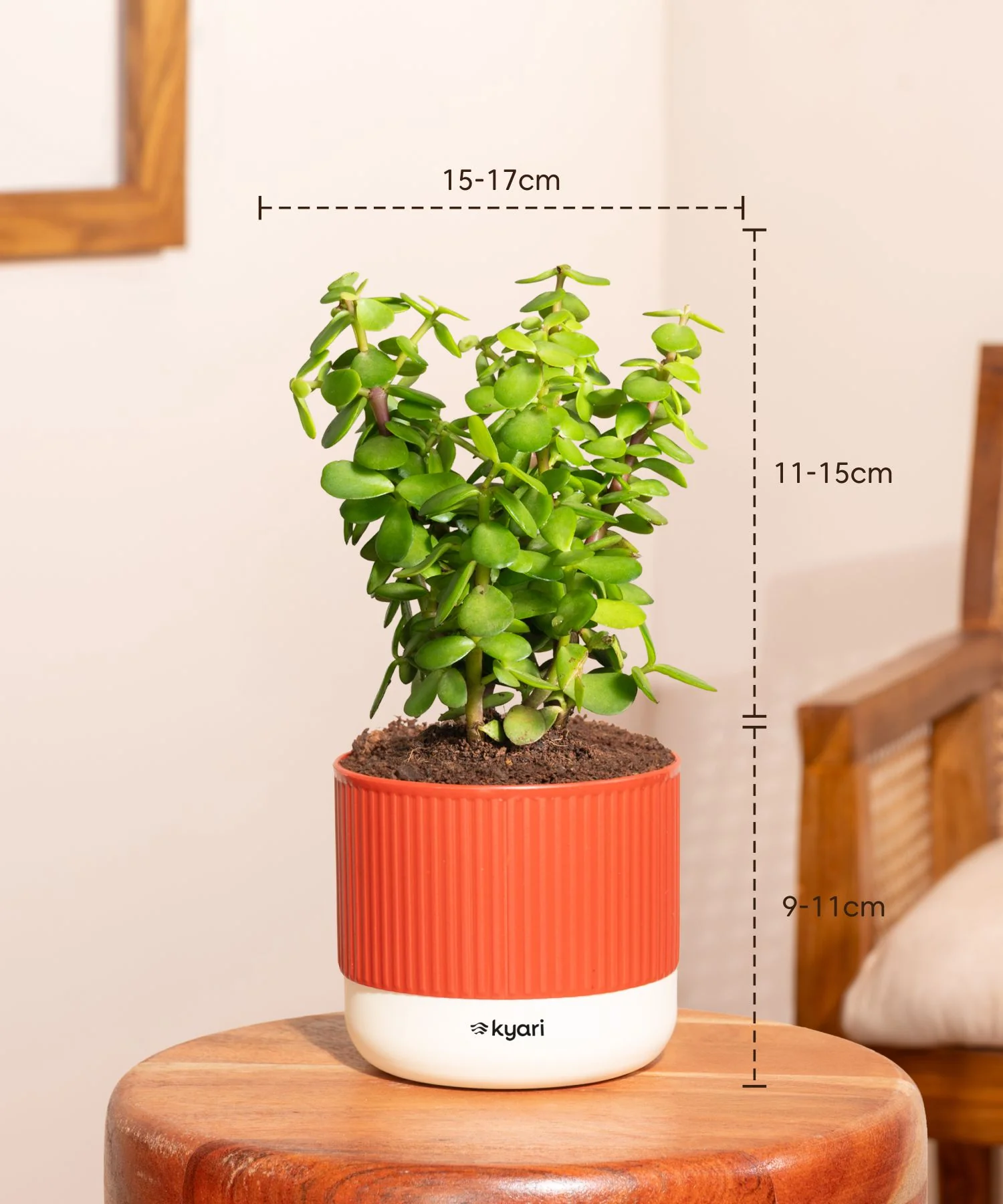 Product image 120