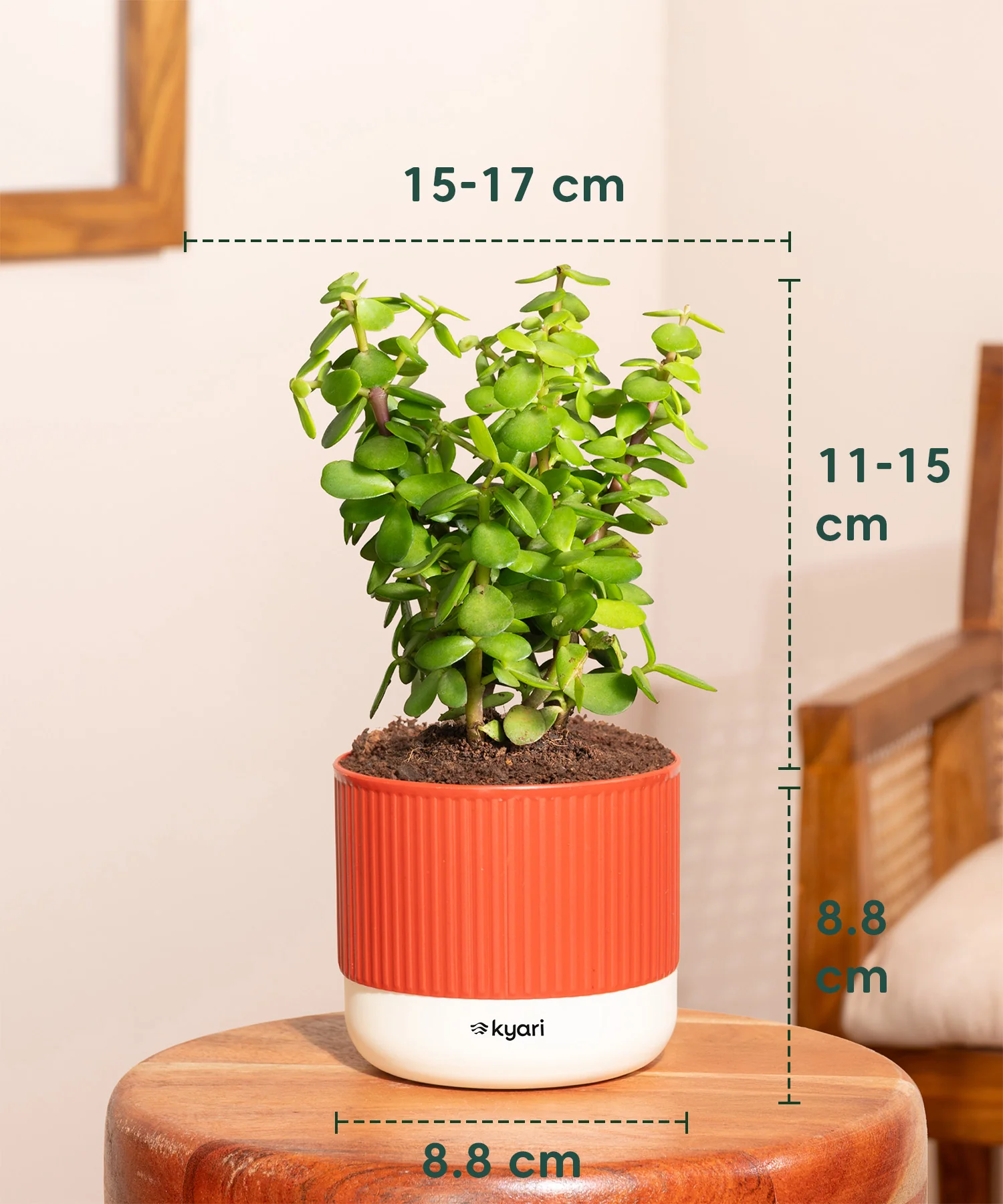 Product image 44