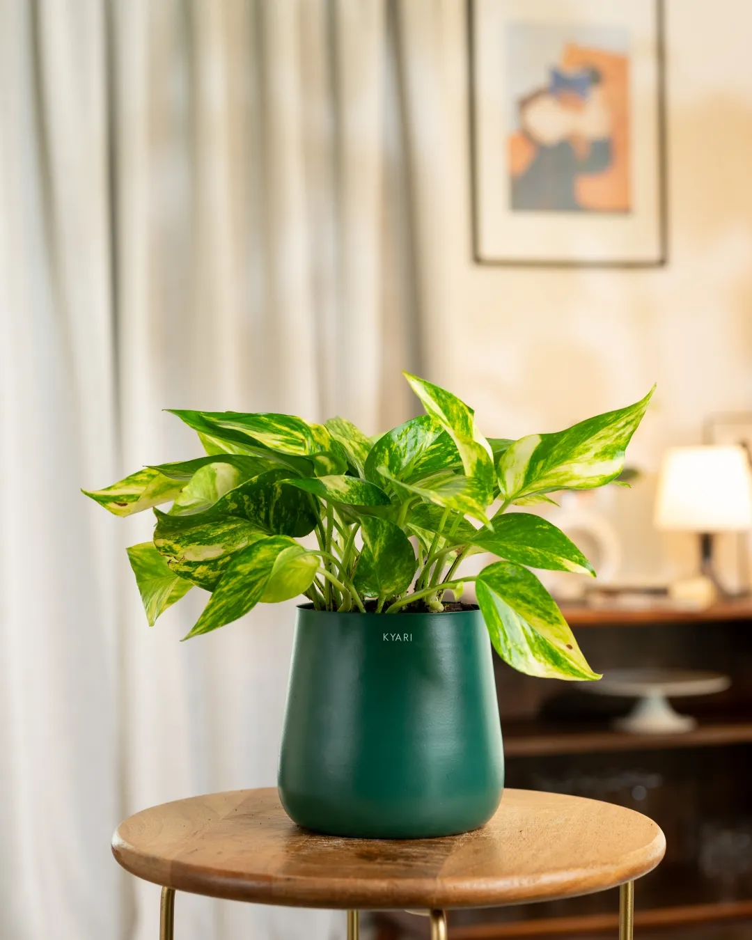 Product image 58