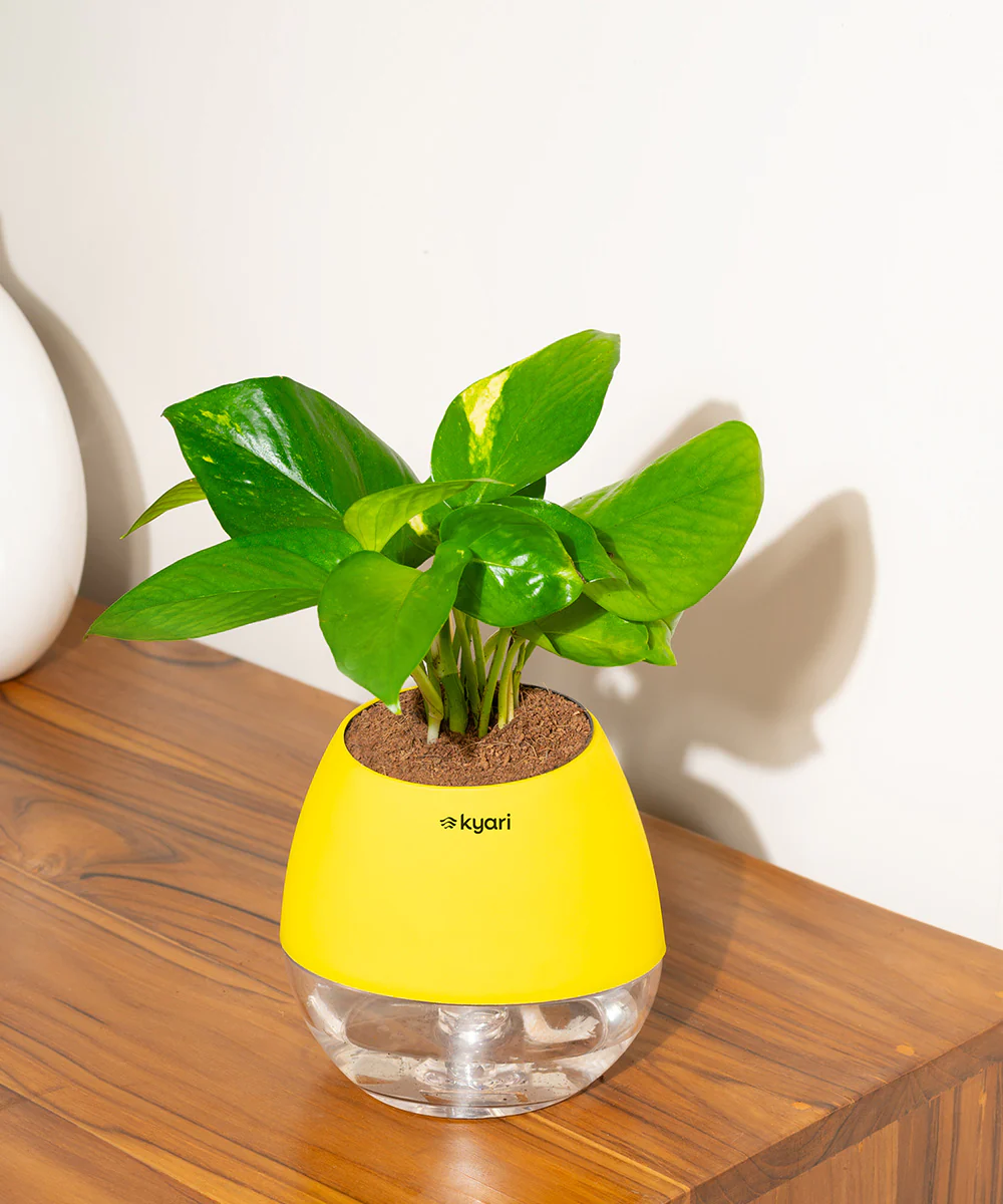 Product image 95
